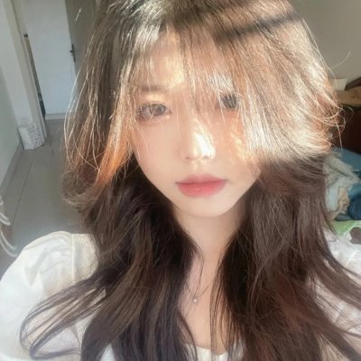 狗岛的宝藏封面
